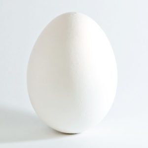white_chicken_egg_square